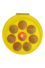 ⁦صن فلاور⁩ - الصورة ⁦3⁩